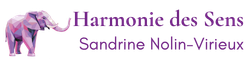 Agence Canopée (10)